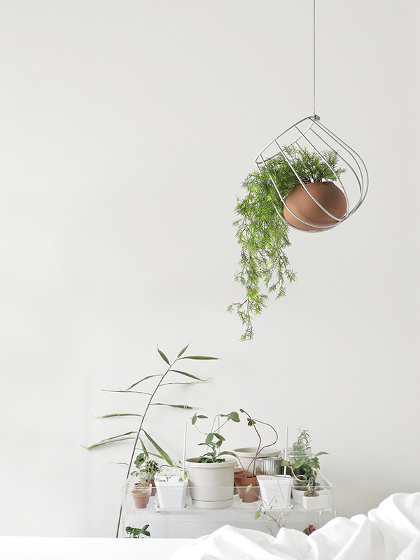 LIGHT & PLANT Container Ceiling Lamp by Plussmi - Donlighting